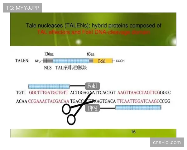 世界反兴奋剂机构将基因编辑技术列入违禁方法监控清单